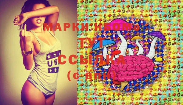 ECSTASY Алзамай