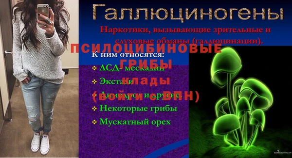 эйфоретик Абинск
