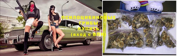 эйфоретик Абаза