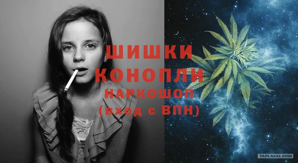 шишки Коряжма