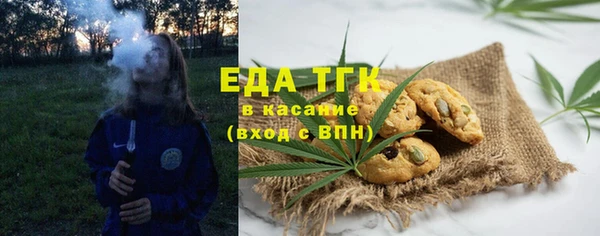 ECSTASY Алзамай
