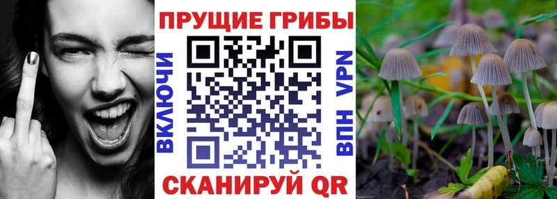 Галлюциногенные грибы ЛСД  Сафоново 